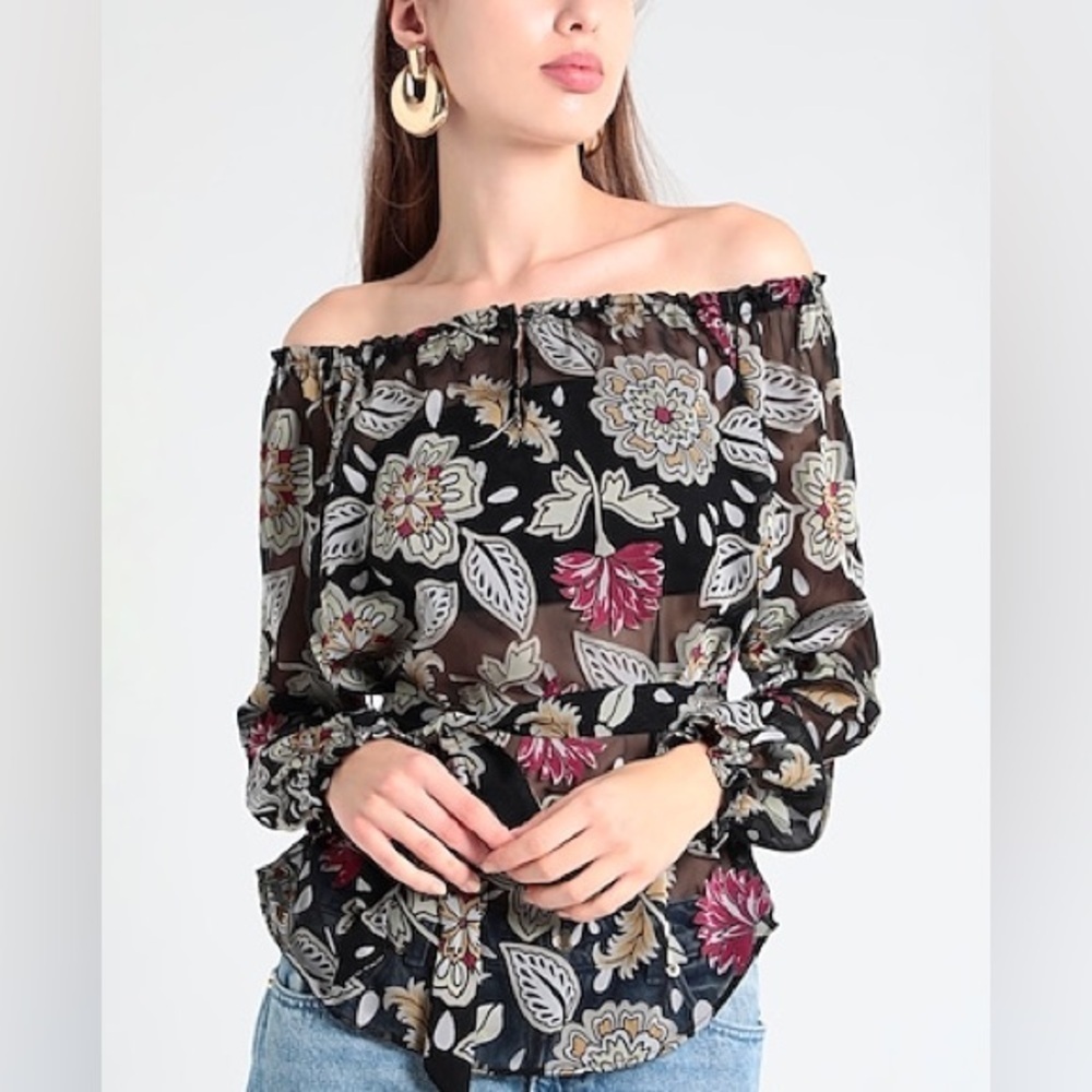 Rag and Bone Sierra Floral Belted Sheer Long Sleeve Top Size Small NWT